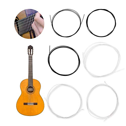 Cordes pour instrument de musique de guitare classique - Les Beatles, Paul McCartney, John Lennon, RIngo Starr, George Harrison Cordes pour instrument de musique de guitare classique – Image 3