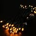 UL Listed 50 Count 5mm Wide Angle Mini Led Christmas Lights,Outdoor Led String Lights for Garden Christmas Trees Lighting Decorations,17 Feet Green Wire (Orange/Amber Color)