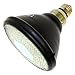 GE 19467-150PAR/FL/G Colored Flood Light Bulb