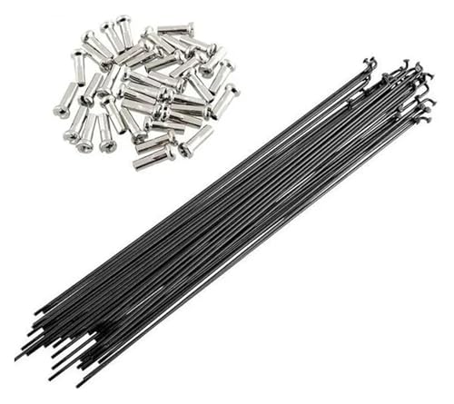 ]ԃX`[X|[NAX|[N ]ԗpA XeXX`[]ԗpJxhX|[Nijbvtj36(255mm)