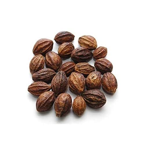 haritaki 100 grams / Inknut/Kadukkai/harde Whole/Terminalia chebula/Karakkaya/Yellow Myrobalan by Amirtham Organic Foods