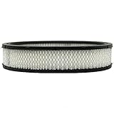 Service Champ AF4379 Air Filter
