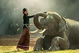 Fabulous Affiche Poster Elephant d'Asie Jeune Femme Photo Nature Thailande