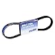 V-Snaar Polini Speed Belt Minarelli Lange Motor, Schwarz