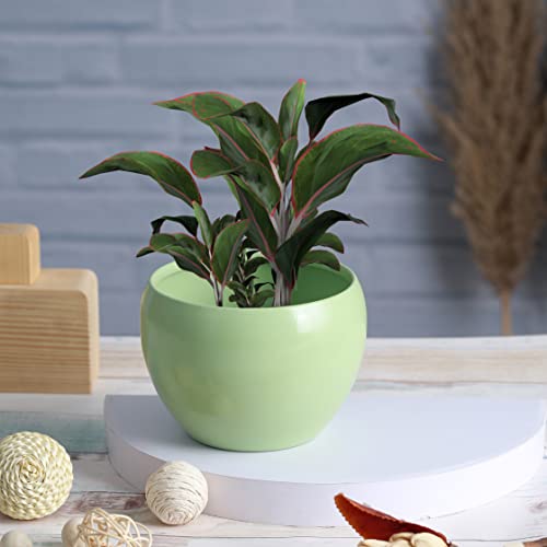 Image of Metal Planter Pot for Indoor Plants & Flowers Table Top Planter for Living Room, Home Decor Decorative Pots for Indoor Plants Rust Free Metal Planter for Balcony and Garden Decor (Aqua)