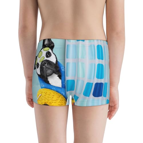 Boys' Cotton Boxer Brief Soft Underwear-French Bulldog Dog In A Bathtub3