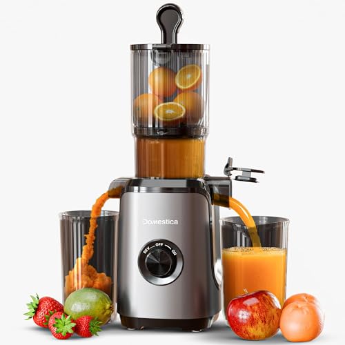 DOMESTICA Dripdrop Cold Press Juicer for Home with 108mm Wide Fee...