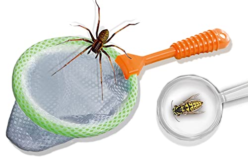 Image of SES Creative 25116 Insect Explorer