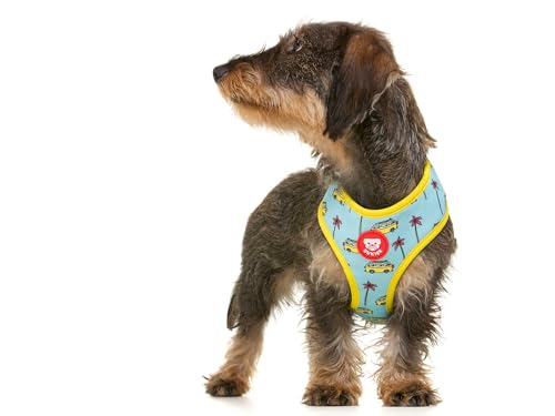 DUKIER - Reversible Dog Harness, Anti-Pull Breathable Reflective Pet Vest Neoprene Mesh, California Design, Size S - Image 2