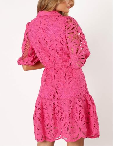 Image of Women's Summer Hollow Out Lace Mini Dress Lantern Sleeve Lapel Button Ruffle Casual Beach Party Dresses