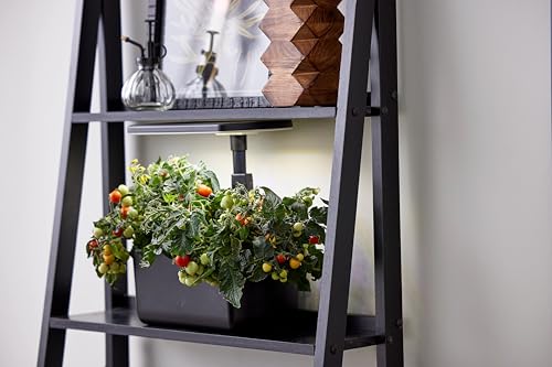 AeroGarden Harvest Lite in Black, Soil-Free Indoor Hydroponic Garden with LED Grow Light for Year-Round Gardening of up to 6 Herbs and Vegetables - Image 10