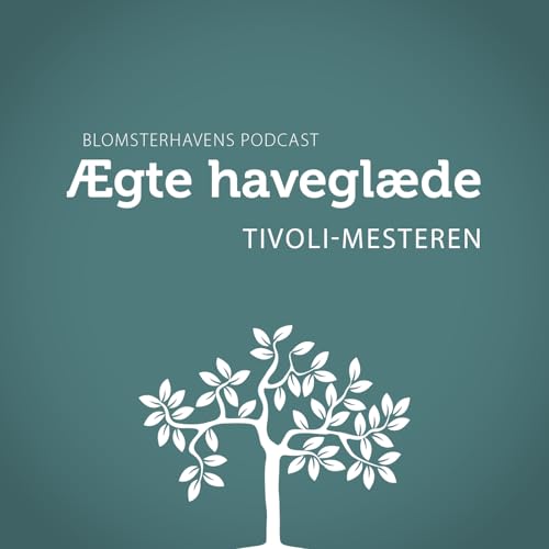 Tivoli-mesteren