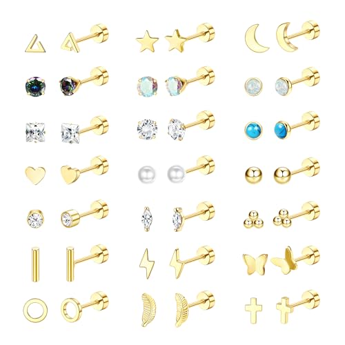 Diamday 21 Paires Boucles d'Oreilles Acier Chirurgical Femmes Hommes Piercing Oreille Helix Cartilage Tragus Hypoallergénique Clou d'Oreille Plat Petite
