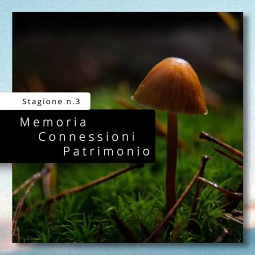 『Memoria Connessioni Patrimonio』のカバーアート