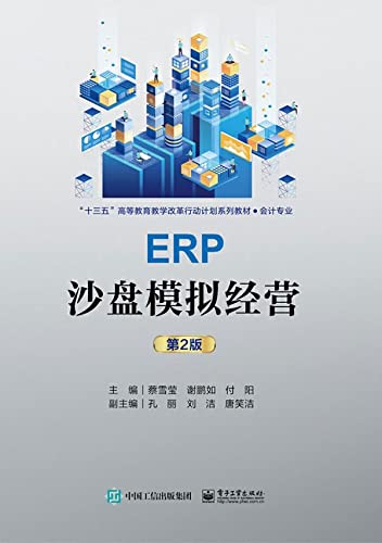 ERP (Chinese Edition)