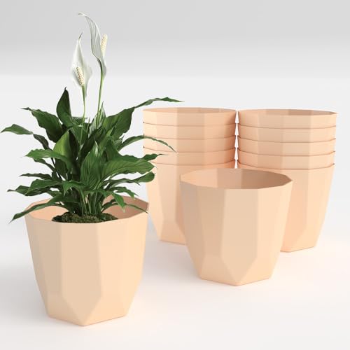 Image of YUCCABE ITALIA SHERA Hexa Plastic Planter Pot for Plants | Decorative Flower Pot | UV Protected Lightweight Indoor Outdoor Gamla for Home Decor, Balcony, Garden & Living Room (Beige, 10 INCH - 12 Pcs)