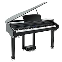 Realistic feel from 88 weighted keys with touch response Split, Layer and Effects for Experimenting With Your Sound 55 Play Along Songs to Help Build Technique Multitrack Recorder for Saving Your Performances