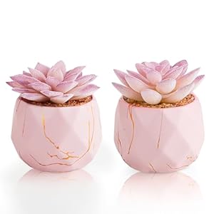 Artificial Succulent Plants in 2 Pink Ceramic Pots, Cute Fake Plants for Vanity Decor,Office, Desk, Bathroom, Kitchen,Bedroom, Shelves Decor for Women,Girls Gift