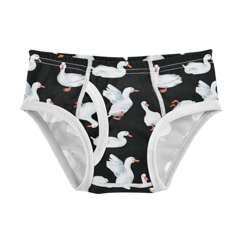 Little Boys Briefs Cute Duck Soft Cotton Toddler Underwear in Sizes 2/3t, 4t, 5t, 6 and 8