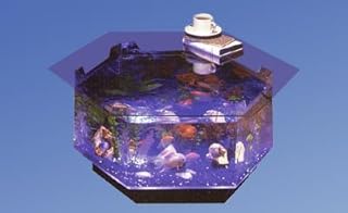 12 Fish Aquarium Ideas for Living Room for Calm Natural Interest 28 212 Main Aqua Octagon Coffee Table Aquarium