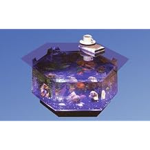 212 Main Aqua Octagon Coffee Table Aquarium
