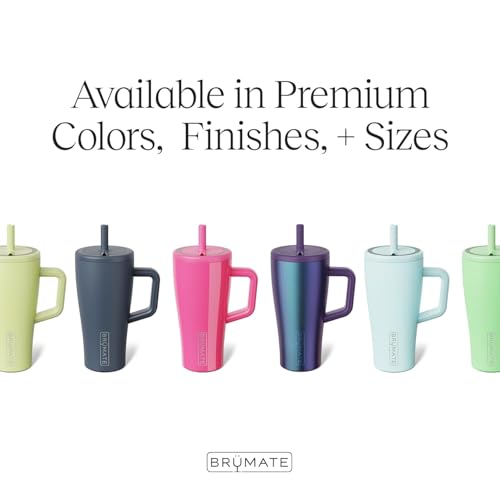 Image of BruMate Era 20 oz Tumbler with Handle and Straw | 100% Leakproof Insulated Tumbler with Lid and Straw | Made of Stainless Steel | Cup Holder Friendly Base | 20oz (Glacier)
