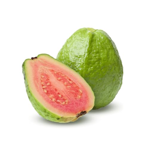 Genérico, Muda de Goiaba Vermelha 50 a 80cm AMK - Plantas Online