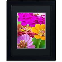 Bouquet of Inias by Philippe Sainte-Laudy Black Matte and Black Frame, 11 by 14-Inch