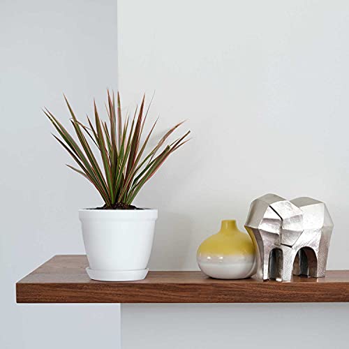 Sierra Concepts Flower Plant Pots For Planters 6 Inch - Set Of 6 Plastic Planter Pot Modern Indoor Outdoor For Small Planting, Succulent Plants, Nursery, Orchid, House, Office Décor, Gardening, White #TOP4