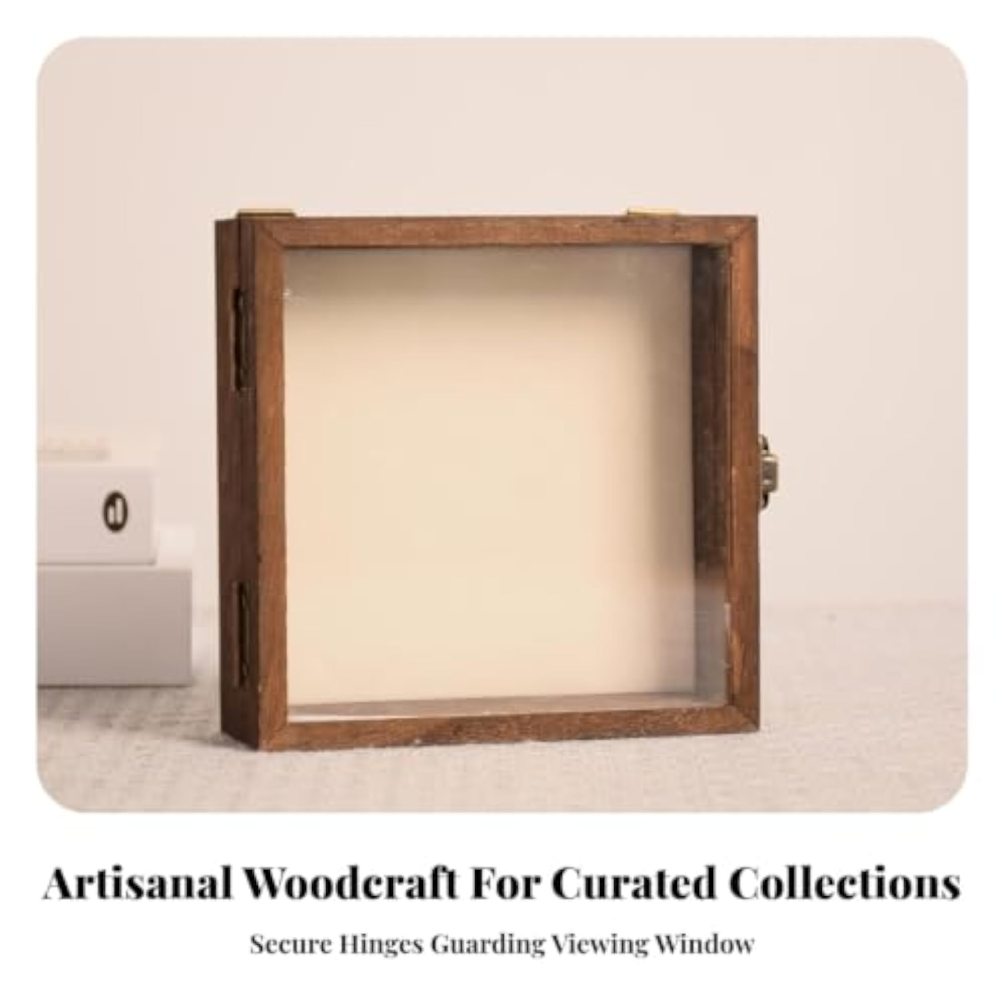 Transparent Wooden Display Case with Hinged Door