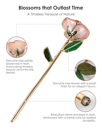 Image of 24K Gold Dipped Preserved Real Rose, Decorative Gift, Pink