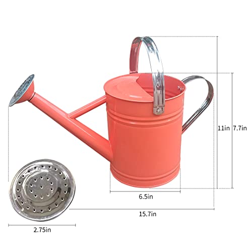 Yourjoy Metal Watering Can, One Gallon Watering Cans Stainless Steel For Outdoor Indoor Garden Plants Watering (Orange) #TOP5