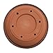 Bloem Terra Pot Planter: 12