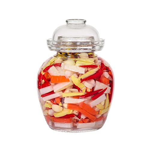 Aosnttol 1.5L Fermentation Kimchi Jar