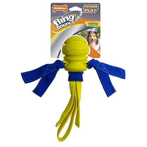 Nylabone POWER PLAY Interactive Fetch Toys for Dogs l Enrichment Dog Toys for the Ultimate Playtime Experience Nylabone POWER PLAY Interactive Fetch Toys for Dogs l Enrichment Dog Toys for the Ultimate Playtime Experience
