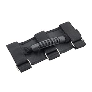 41w2nk79bll. sl500 . ss300