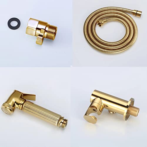 Pulvérisateur de bidet pour toilettes en laiton doré
