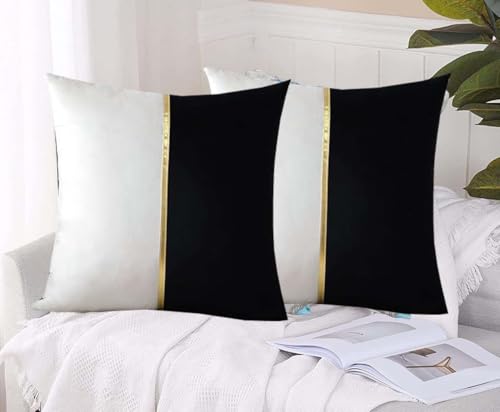 Image of HIMS Velvet Sofa Pillow Cover Set of 2, Luxury Cushion Cover 16 inch x 16 inch for Decorative Living Room Sofa Bedroom Car (16x16 Inch, Black)