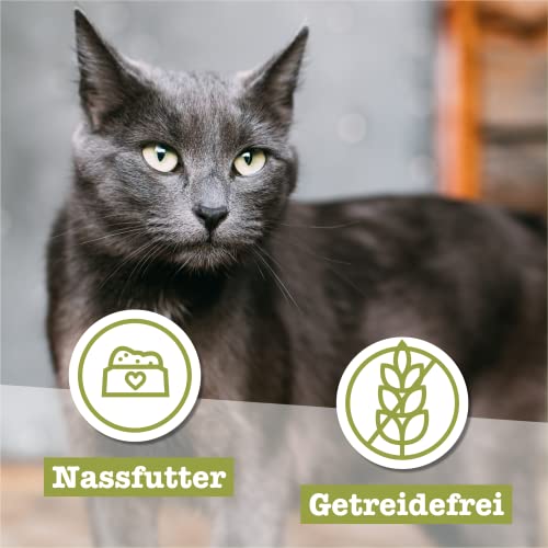 catz finefood Senior N°05 Lachs & Huhn Katzenfutter nass - Premium Nassfutter für Ihre Senior Katze - getreidefrei, ohne Zucker, hoher Fleischanteil, Vitamine & Mineralien (6 x 200g Dose)