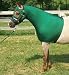 Sleazy Sleepwear for Horses S Solid Zipper Stretch Hood - Hunter Green