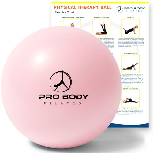 ProBody Pilates Ball, Exercise Balls Physical Therapy - 9 Inch Small Exercise Ball for Between Knees for Rehab, Barre, Core, Stability & Yoga, Physical Therapy Ball for Back Pain (Rose)
