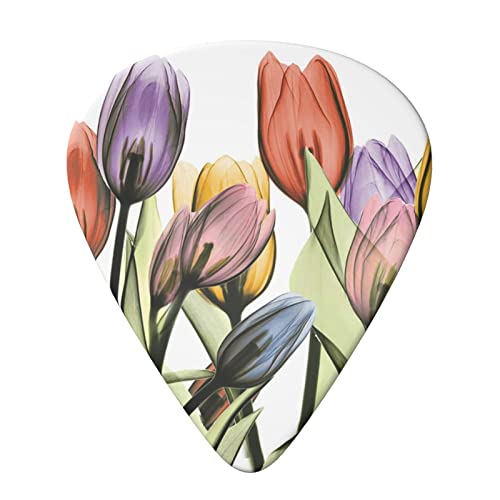 Tulip Scape Lot de 6 médiators pour guitare acoustique, guitare électrique, basse, ukulélé – fins, moyens et épais. - Les Beatles, Paul McCartney, John Lennon, RIngo Starr, George Harrison Tulip Scape Lot de 6 médiators pour guitare acoustique, guitare électrique, basse, ukulélé – fins, moyens et épais. – Image 4