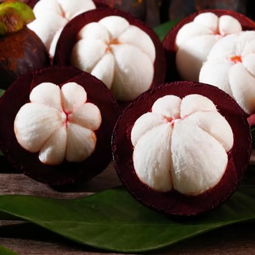 QAUZUY GARDEN 90pcs Mangosteen Fruit Seeds, Heirloom Non-GMO Sour, Sweet, and Juicy Fruits for Planting Outdoor Garden