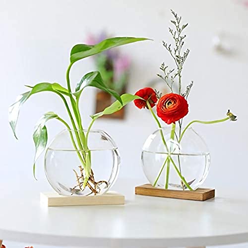 Kingbuy Desktop Round Glass Planter Terrarium Flower Vase With Wooden Stand For Propagation Small Hydroponic Plants Home Office Decor thumb #4