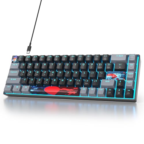 Image of 65 Percent Gaming Keyboard 68 Keys Mechanical Keyboard LED Backlit Ultra Compact Wired Key Board with Red Switch for Windows Laptop Gamer(68Dark)