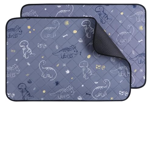 IEUUMLER Washable Pee Pads for Dogs, 2 Pack Non-Slip & Waterproof Pack Whelping Pad, Reusable Washable Puppy Potty Training Pad with Fast Absorbent for Playpen EU007 (Gray Dinosaur, 42"X28"-2pcs)