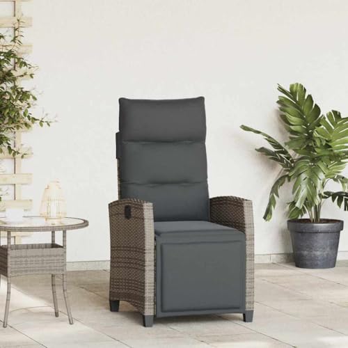 MNISDFL Grey Rattan Reclining Garden Chair with Steel Frame