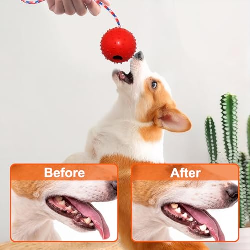 AUTOWNLUX 4 Stück Hundespielzeug Ball mit Schnur, ø 5/30 cm Hundespielzeug Ball Hund am Seil Naturkautschuk, Hundebälle Kleine (Rot, Gelb, Lila, Orange)