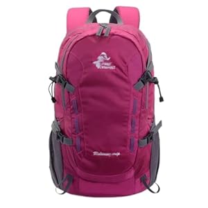 40L Travel Backpack Large Capacity Men’s Women’s Backpack Camping Hiking Sports Bag (Color : Black, Size : 53 * 32 * 15cm)