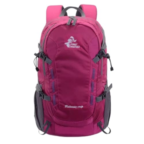 40L Travel Backpack Large Capacity Men’s Women’s Backpack Camping Hiking Sports Bag (Color : Black, Size : 53 * 32 * 15cm)